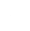 Digital Brands Group Inc. Logo