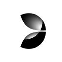 EVOLUT.GAM.GRP UNSP.ADR/1 Logo