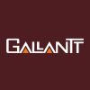 GALLANTT ISPAT LTD Logo