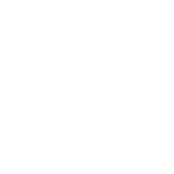 GORILLA TECH.GR. DL-,0001 Aktie Logo