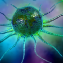 Immunocellular Therapeutics Logo