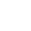Li Auto (ADR) Logo