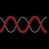 Molecular Templates Logo