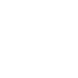 NeuBase Therapeutics Aktie Logo