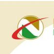 Nex Metals Explorations Logo