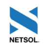 NetSol Technologies Logo