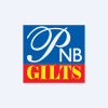 PNB Gilts Ltd Logo