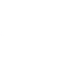 PRIME MEDICINE INC COM Logo