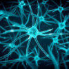 Protagenic Therapeutics Aktie Logo