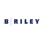 B. RILEY FINANCIAL INC Logo