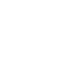 ReShape Lifesciences Aktie Logo