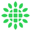 Shoals Technologies Group Inc. Logo