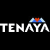 TENAYA THERAPEUTICS INC Logo