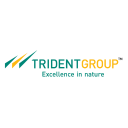 Trident Ltd Logo