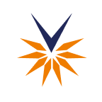VELOCITY FINANCIAL INC Logo