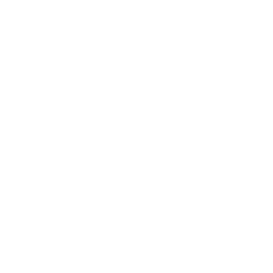 Venus Concept Inc Logo