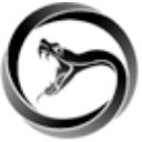 Viper Energy Inc Logo