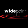 WidePoint Co. Logo
