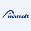 Shanghai Amarsoft Information & Technology Co.,Ltd Logo