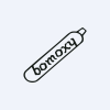Bombay Oxygen Investments Limited Logo
