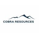 COBRA RES. PLC LS-,01 Logo