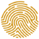 PAN AFRICAN ADR5 /20 ADR Logo