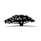 WisdomTree U.S. Growth & Momentum Fund Logo